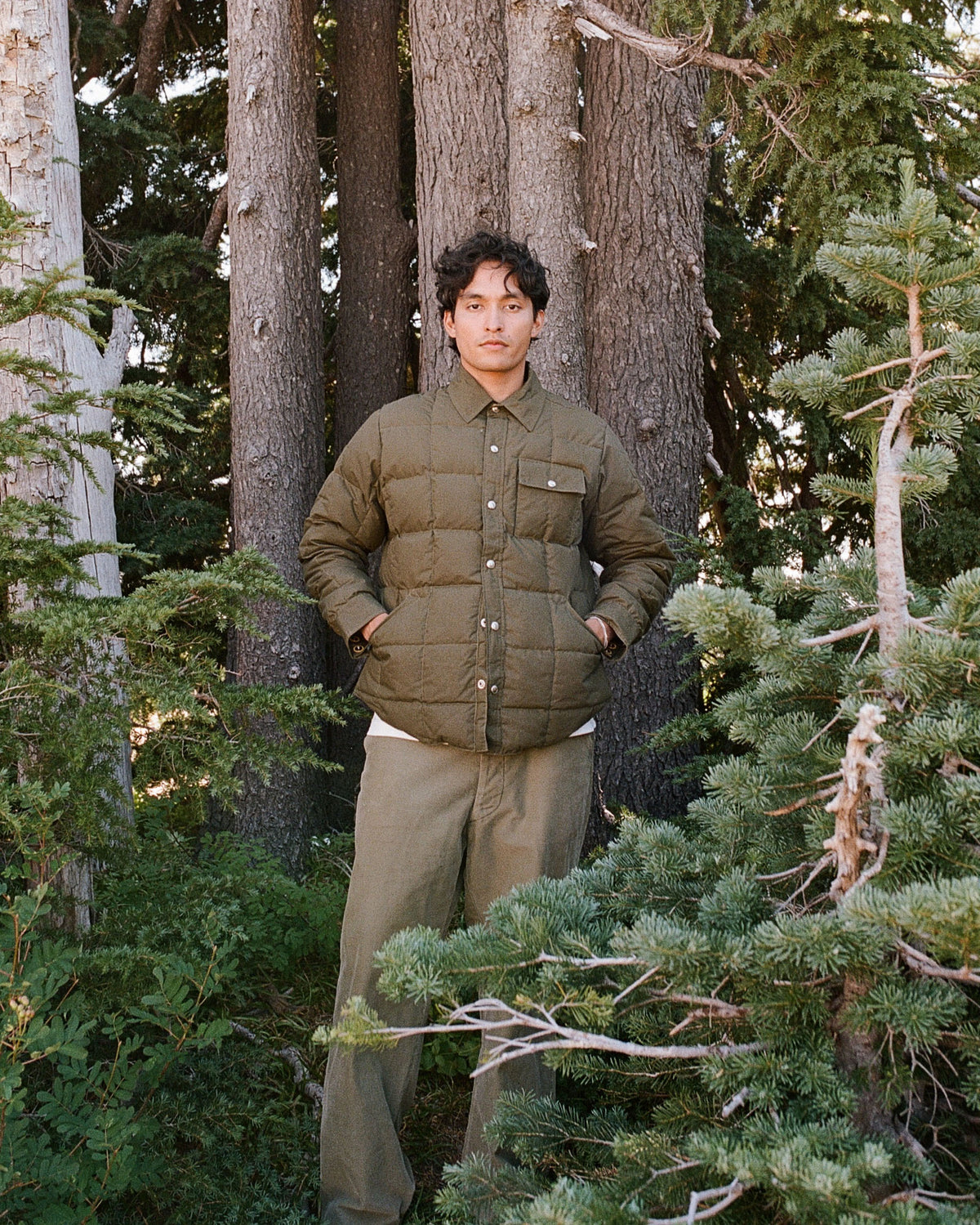 Down Shirt - Dry Wax Cotton - Douglas Green