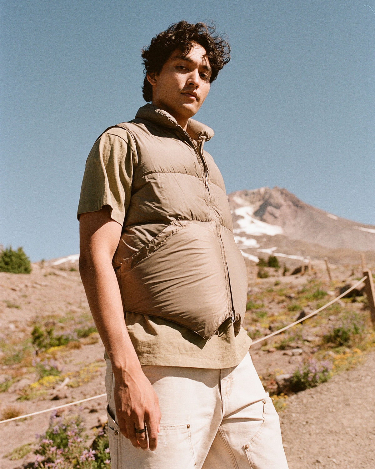 North by Northwest Vest - Streakfree Nylon - Wood