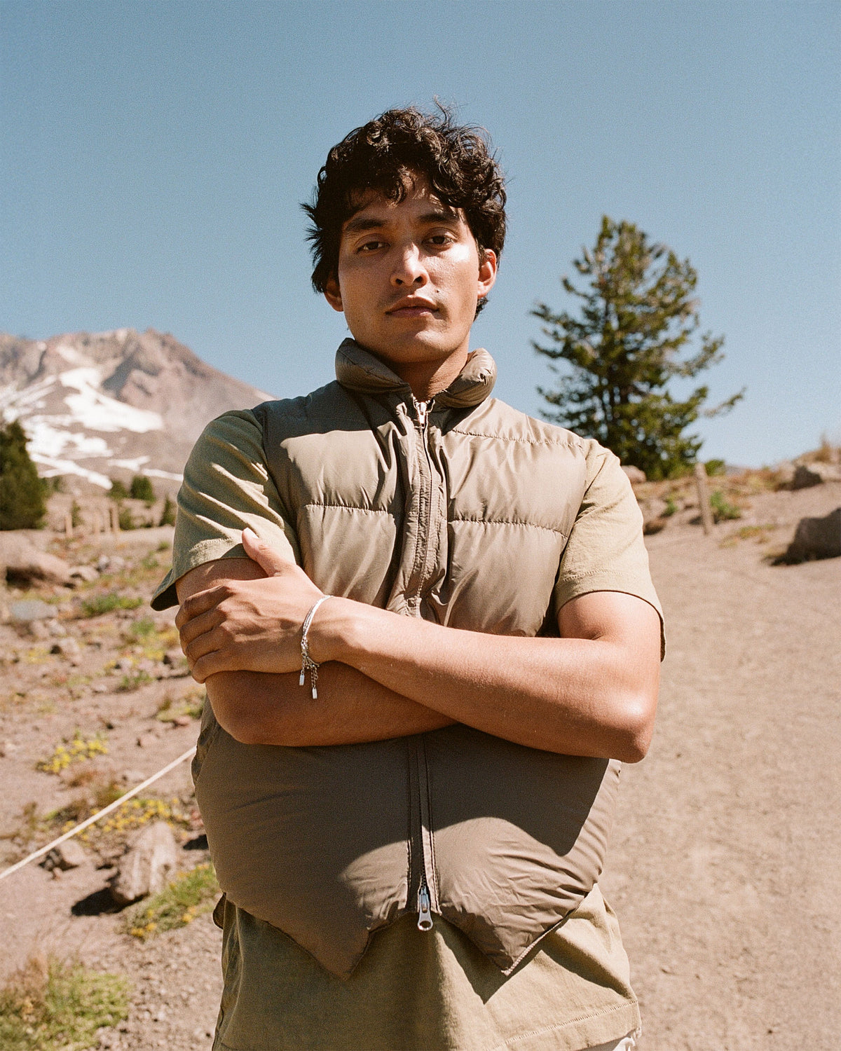 North by Northwest Vest - Streakfree Nylon - Wood
